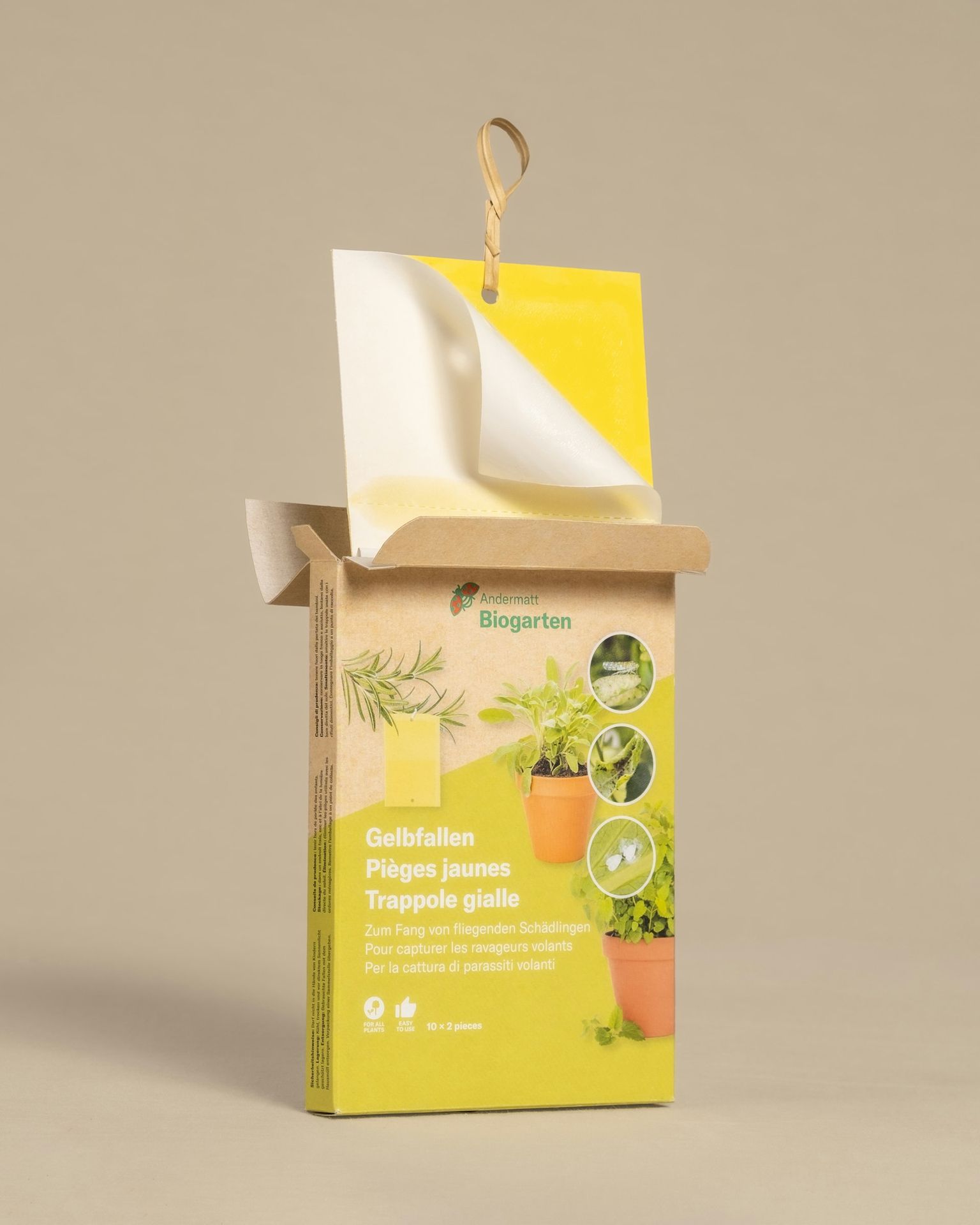a box with a plant inside of it