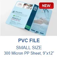 PVC File (Gloss Coated, Small Size) (1000)