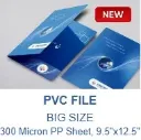 PVC File (Gloss Coated, Big Size) Left Side Pocket